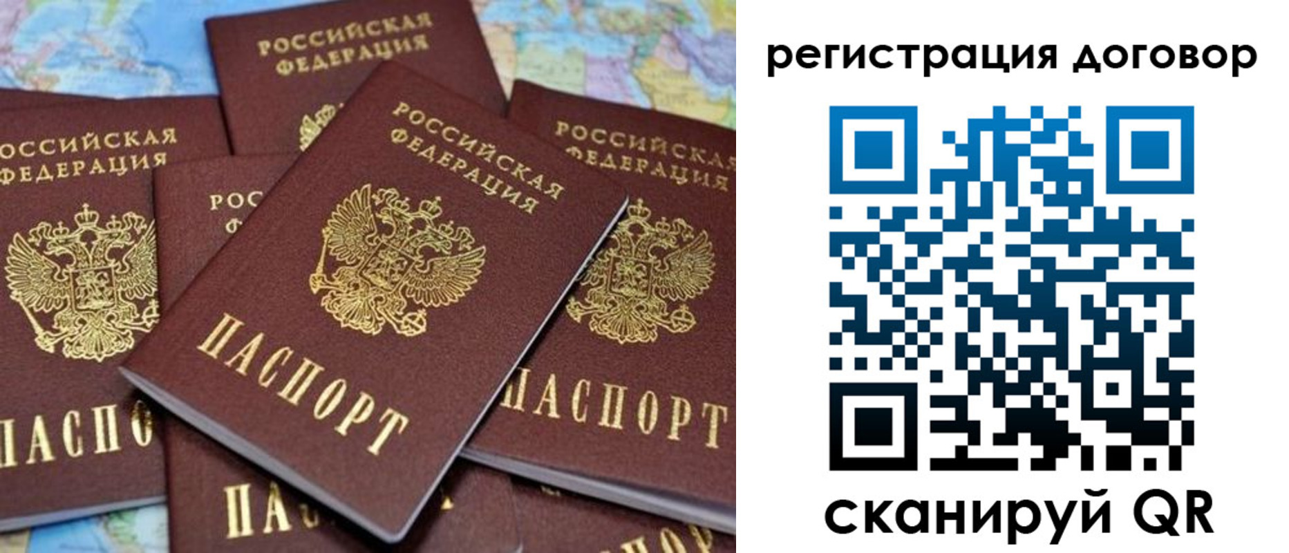 прописка гарантия в Карабаново